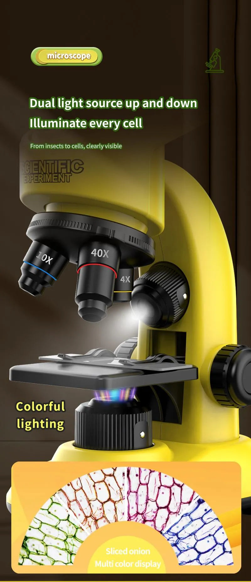 Microscope Professional Model 40X-16000X White,Please Note That The Color And Specification Sold Is White.